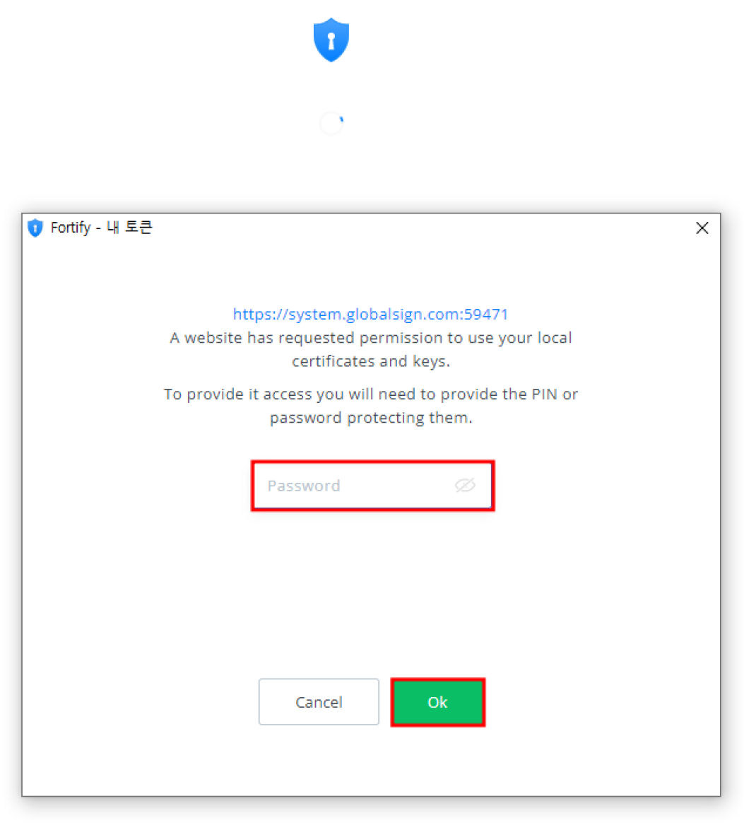 토큰 패스워드 입력