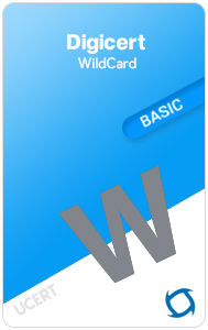 DigiCert Basic Wildcard