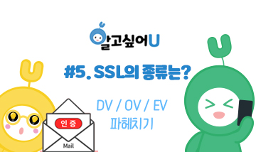 5탄SSL등급별종류